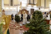 DSC_4606.JPG